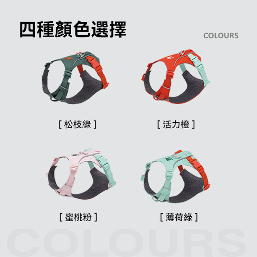 煥彩羽感胸背帶 (兩爪)