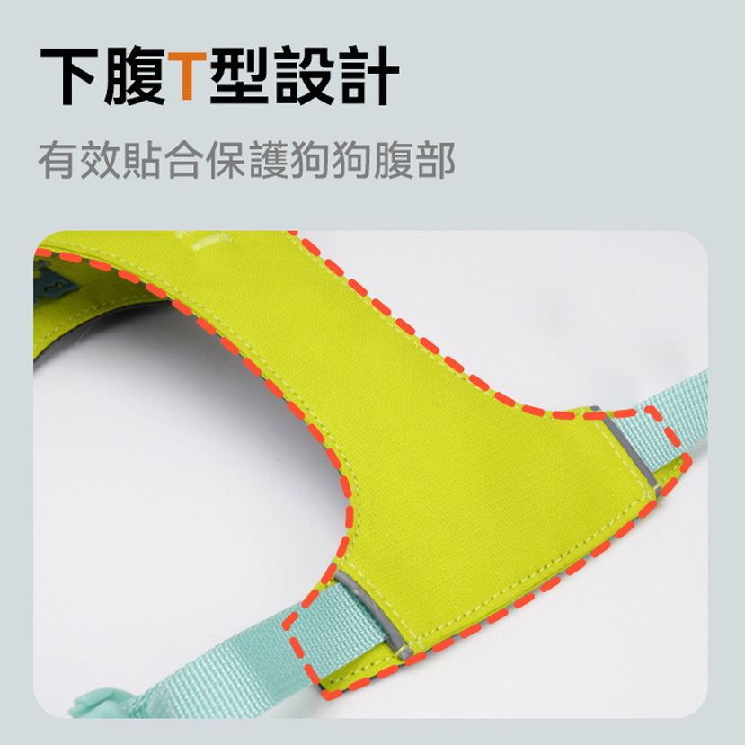 煥彩羽感胸背帶 (兩爪)