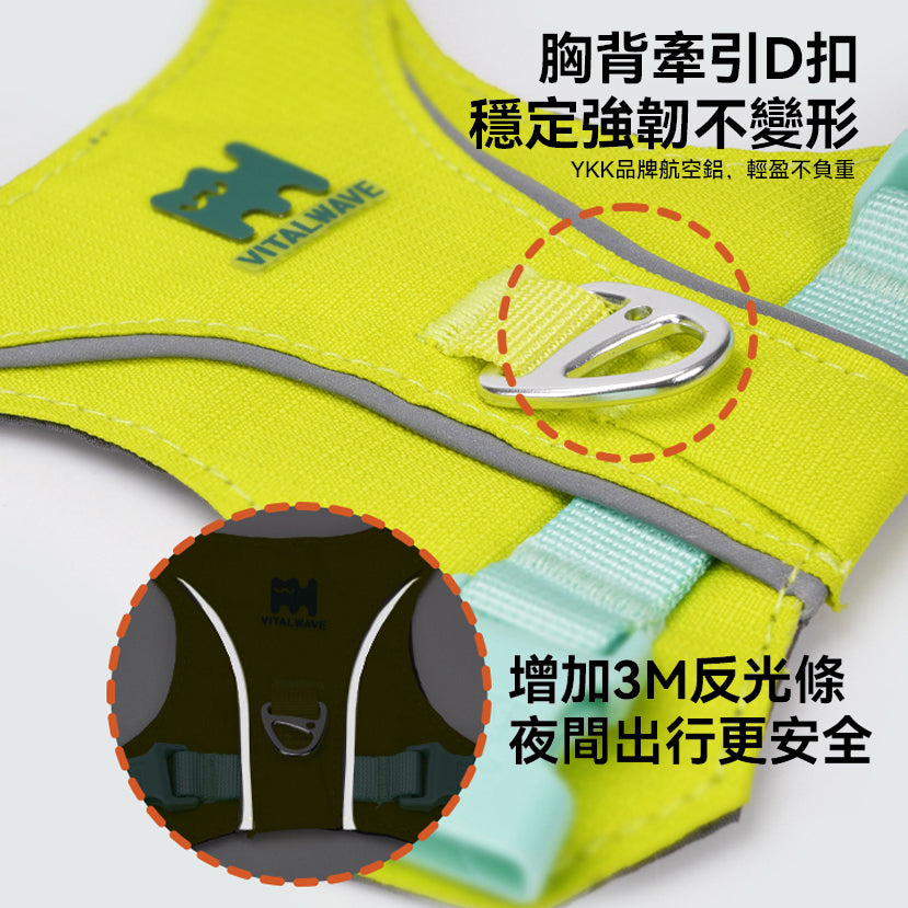 煥彩羽感胸背帶 (兩爪)