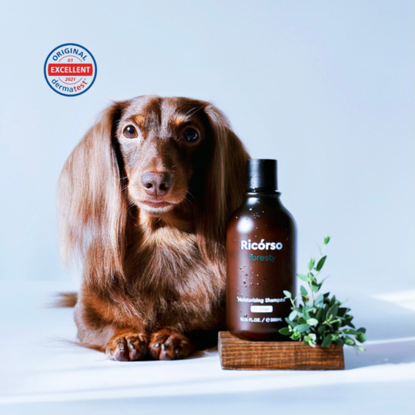 Foresty Moisturizing Shampoo