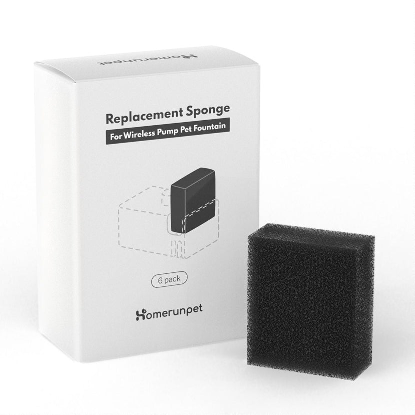 CF20/WF20 Sponge (6 pieces/box)