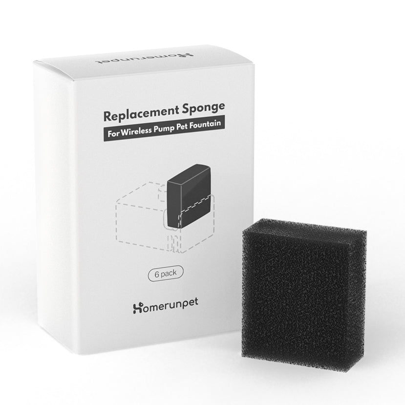CF20 Sponge