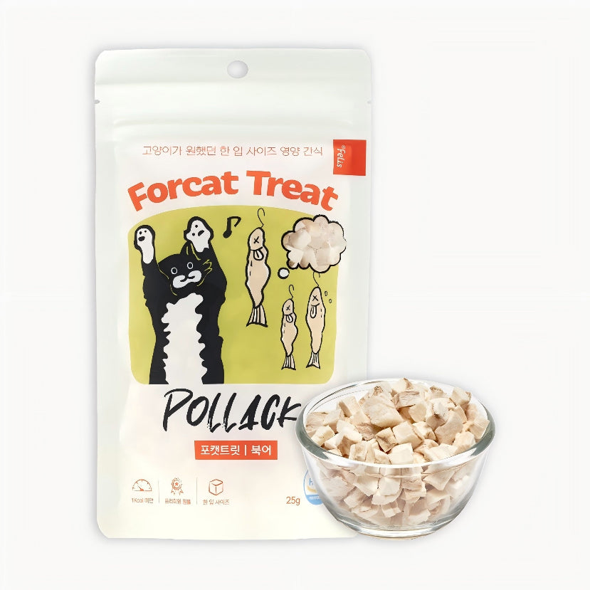 Dr.Felis Forcat treat
