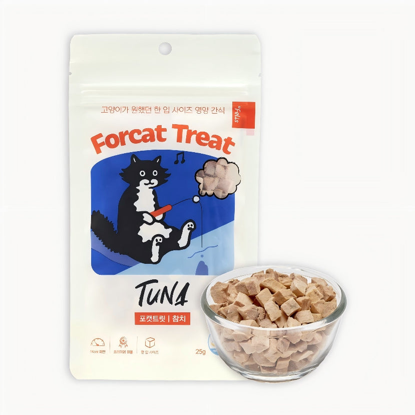 Dr.Felis Forcat treat