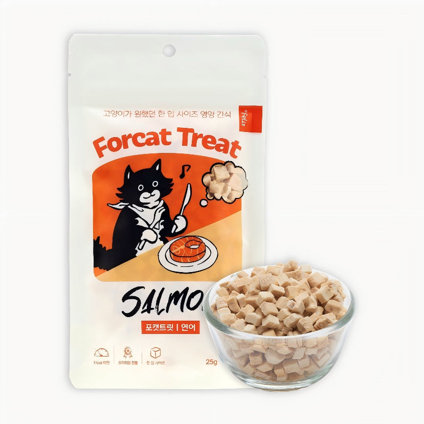 Dr.Felis Forcat treat