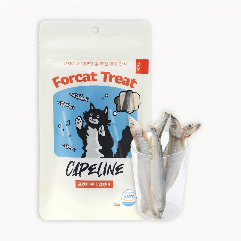 Dr.Felis Forcat treat