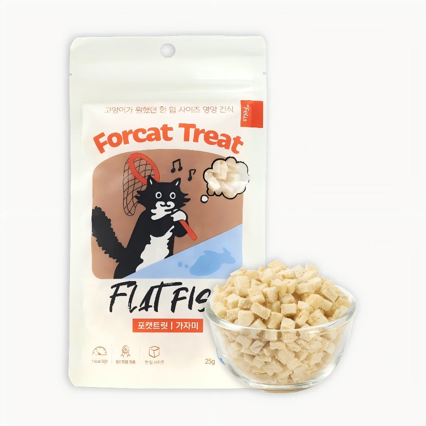 Dr.Felis Forcat treat