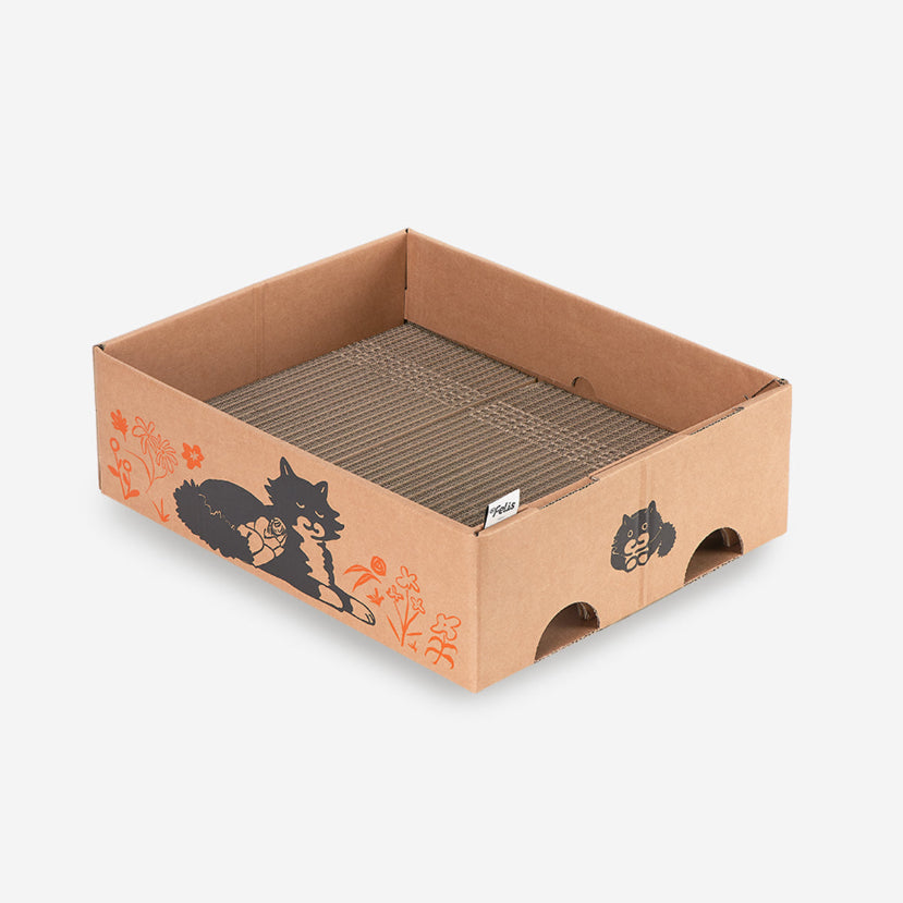 Box Clinge