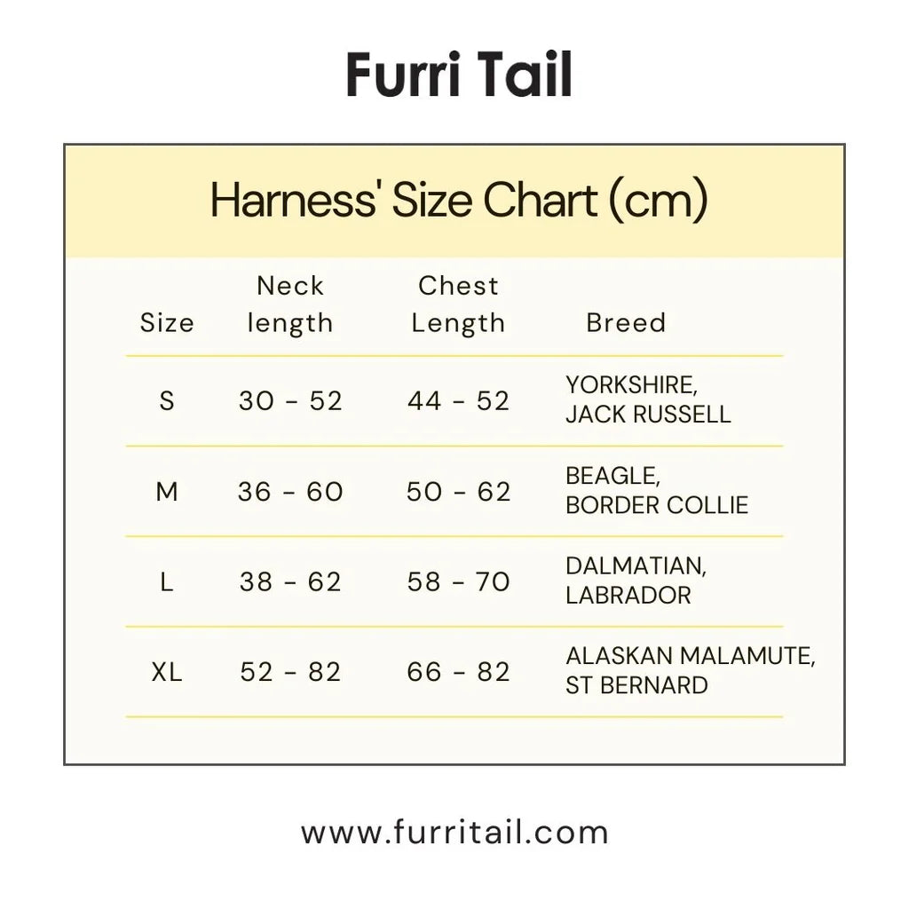 Engraved Leather Dog Harnesses