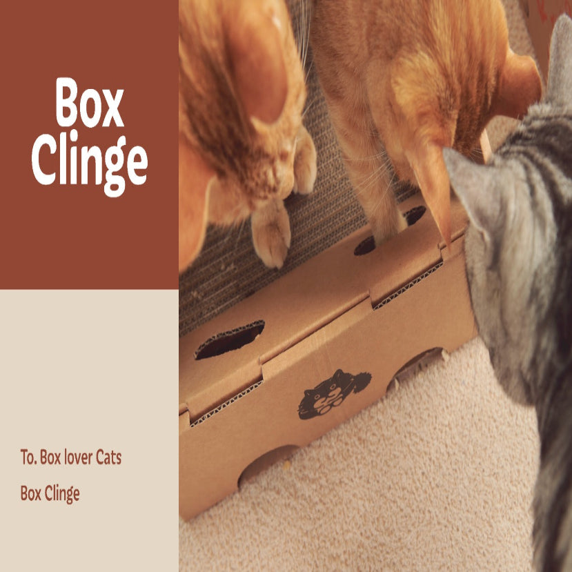 Box Clinge