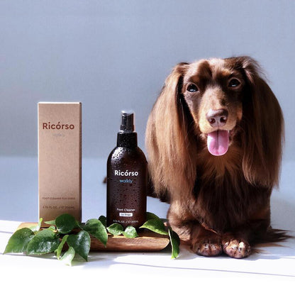 Walkly 足部乾洗噴霧