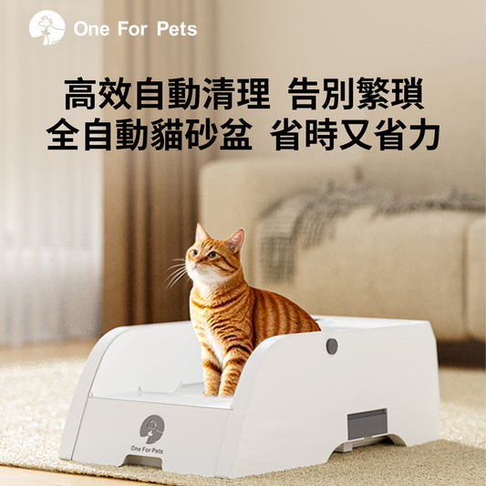 全開放式自動貓砂機