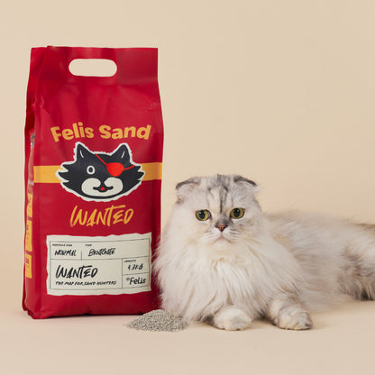 菲貓博士通緝款貓砂（4.3kg）