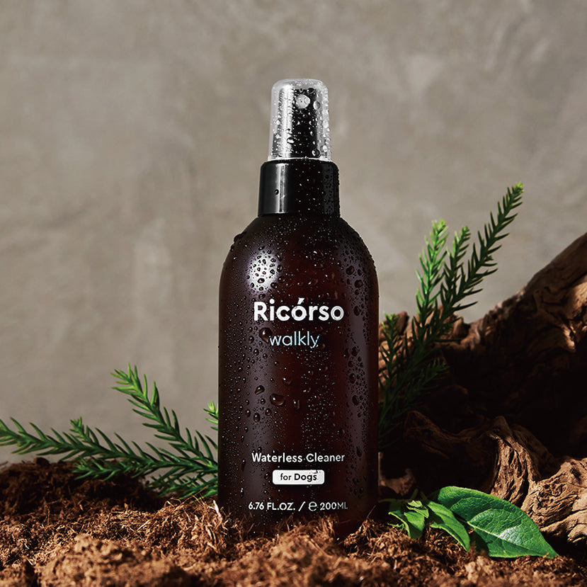 Walkly 足部乾洗噴霧