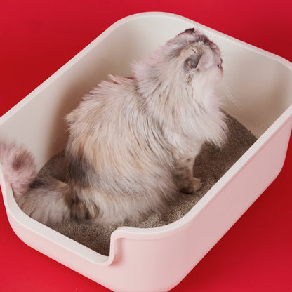 菲貓博士通緝款貓砂（4.3kg）