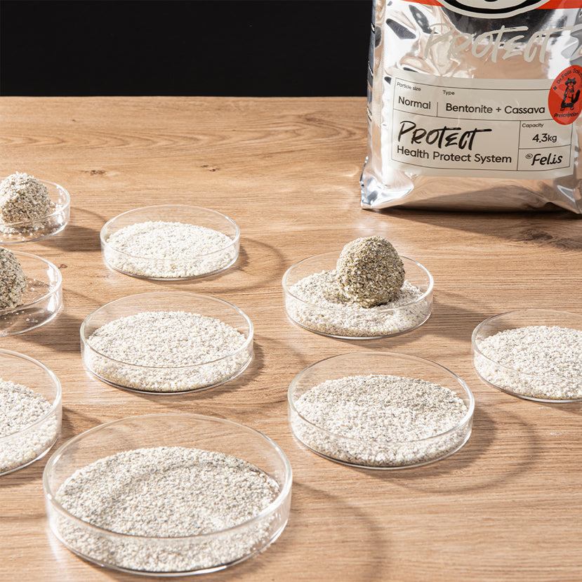 菲貓博士f防護級貓砂（4.3kg）