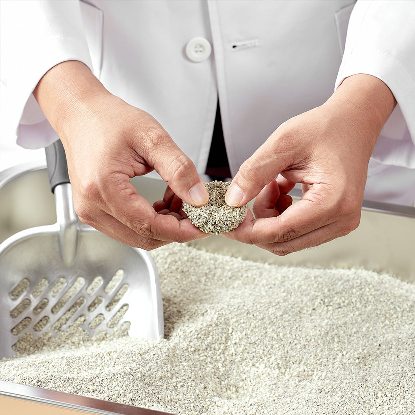 菲貓博士大師級貓砂