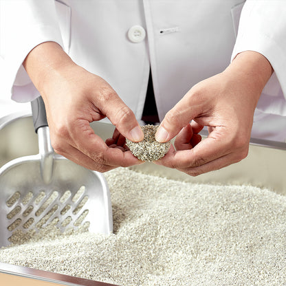 菲貓博士大師級貓砂