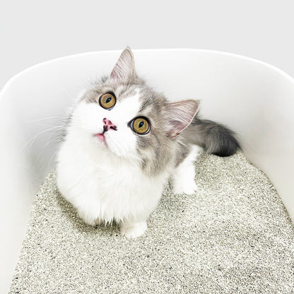 菲貓博士硬球貓砂