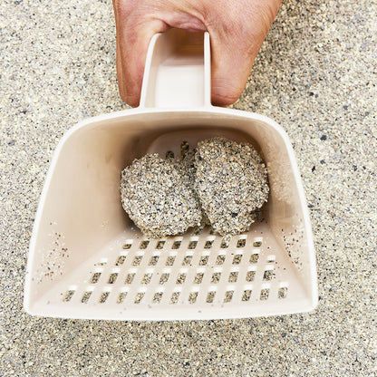 菲貓博士硬球貓砂