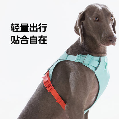 煥彩羽感胸背帶 （兩爪）