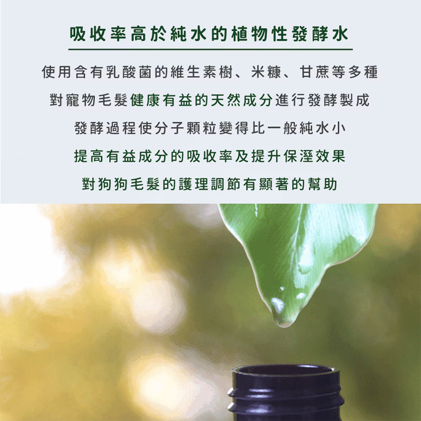 Walkly 足部乾洗噴霧