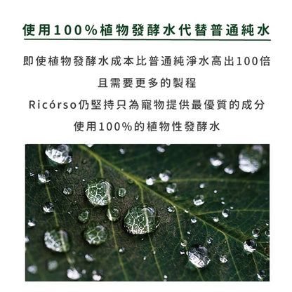 Walkly 足部乾洗噴霧