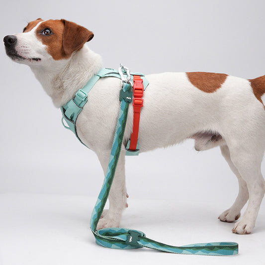 漸變山海印花織帶牽引繩