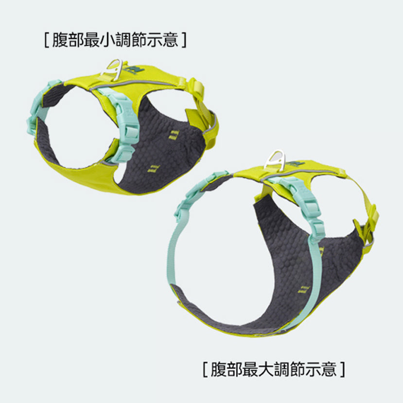 煥彩羽感胸背帶 （兩爪）