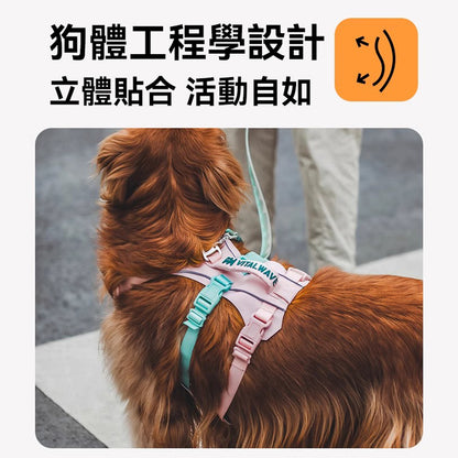 幻彩執手胸背帶 （三爪）