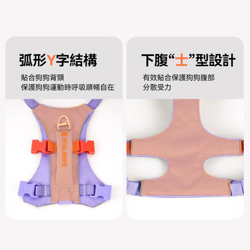 幻彩執手胸背帶 （三爪）
