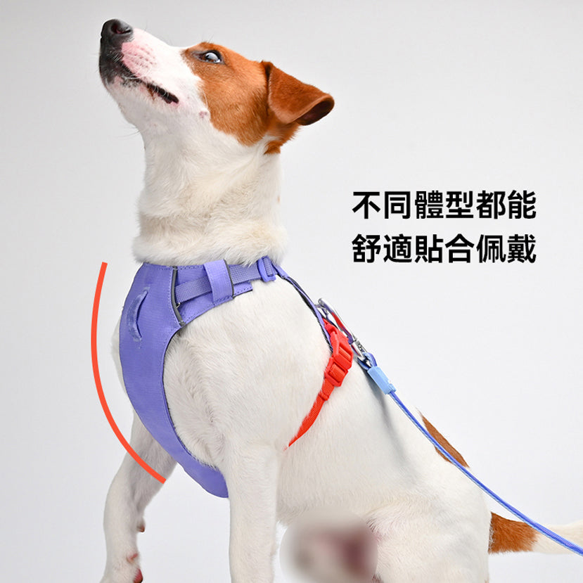 煥彩羽感胸背帶 （兩爪）