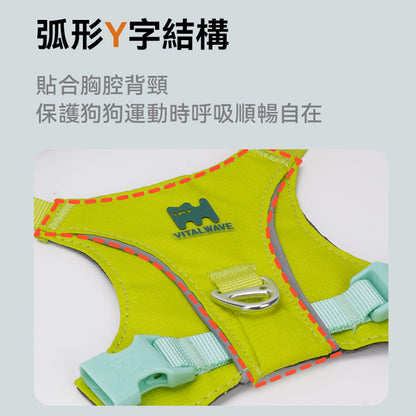 煥彩羽感胸背帶 （兩爪）