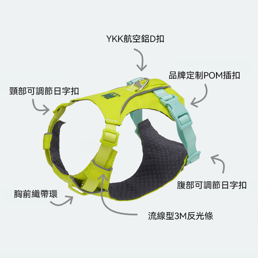 煥彩羽感胸背帶 （兩爪）