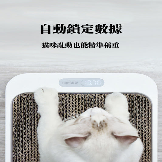 貓抓板體重秤