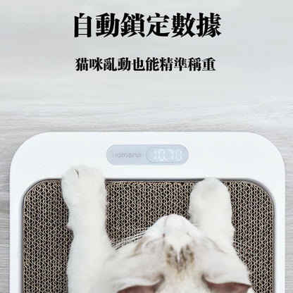 Cat Scratch Board Weight Scale