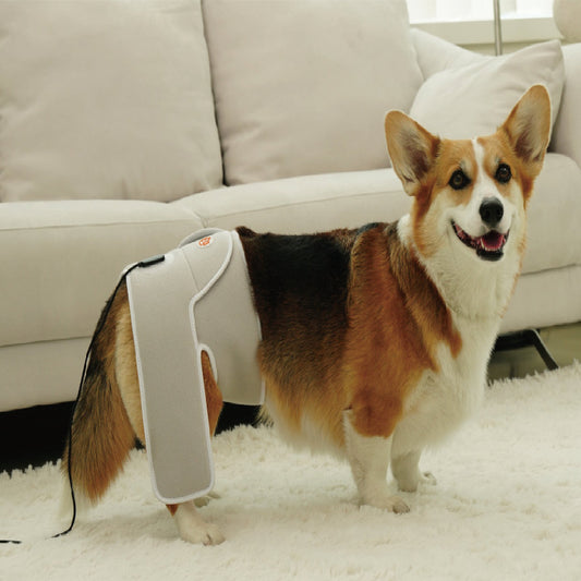 寵物紅外線光療墊-加長款