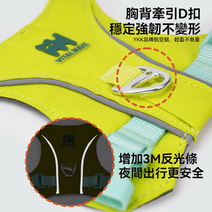煥彩羽感胸背帶 （兩爪）