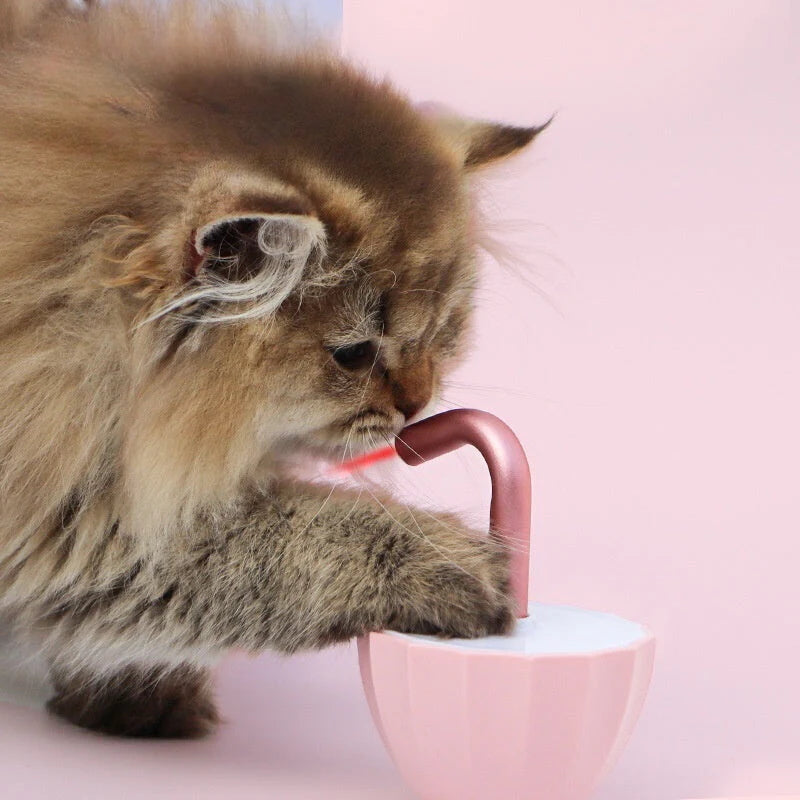 遮仔造型激光玩具