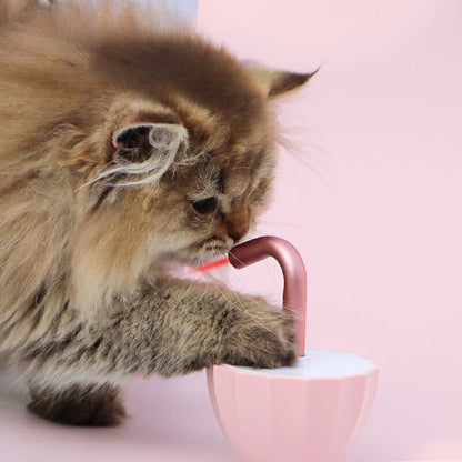 遮仔造型激光玩具