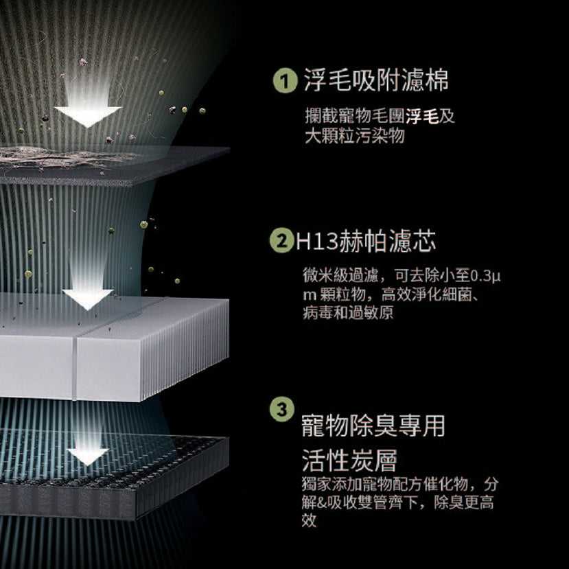 空氣淨化器濾芯 (2個裝)