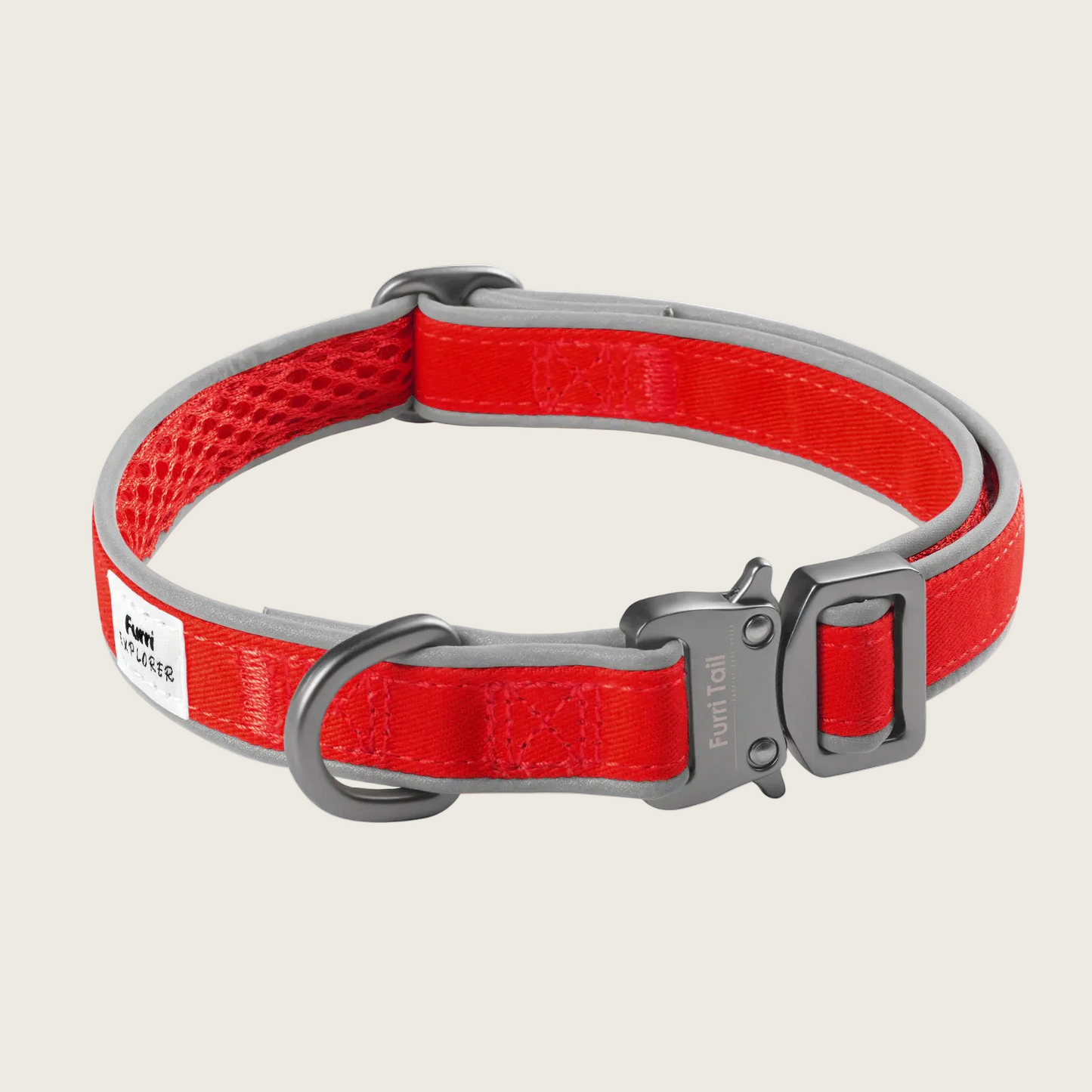 探險家運動項圈