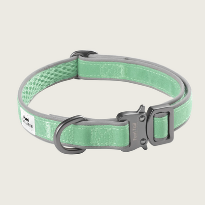 探險家運動項圈