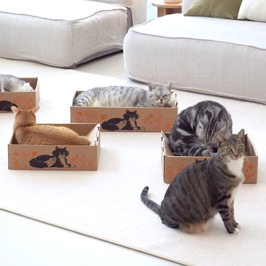 貓貓專用粘粘盒