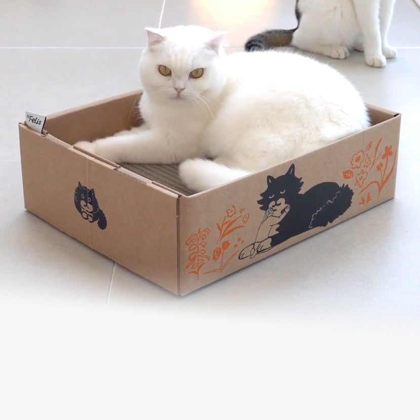 貓貓專用粘粘盒