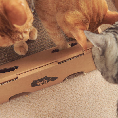 貓貓專用粘粘盒