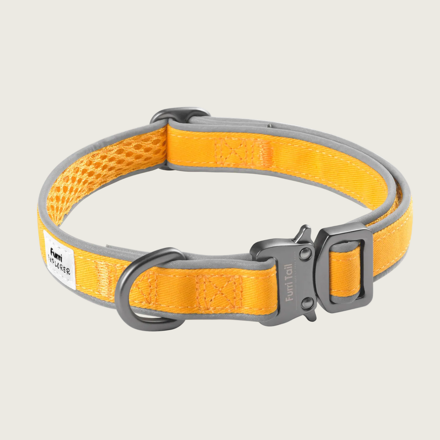 探險家運動項圈