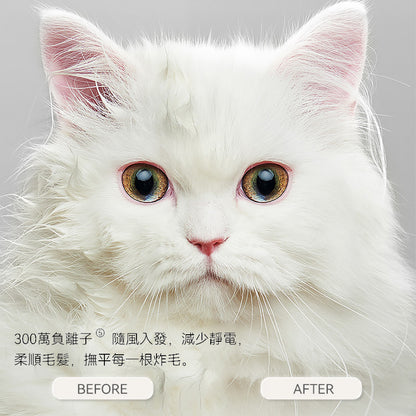 寵物智能暖風烘乾箱