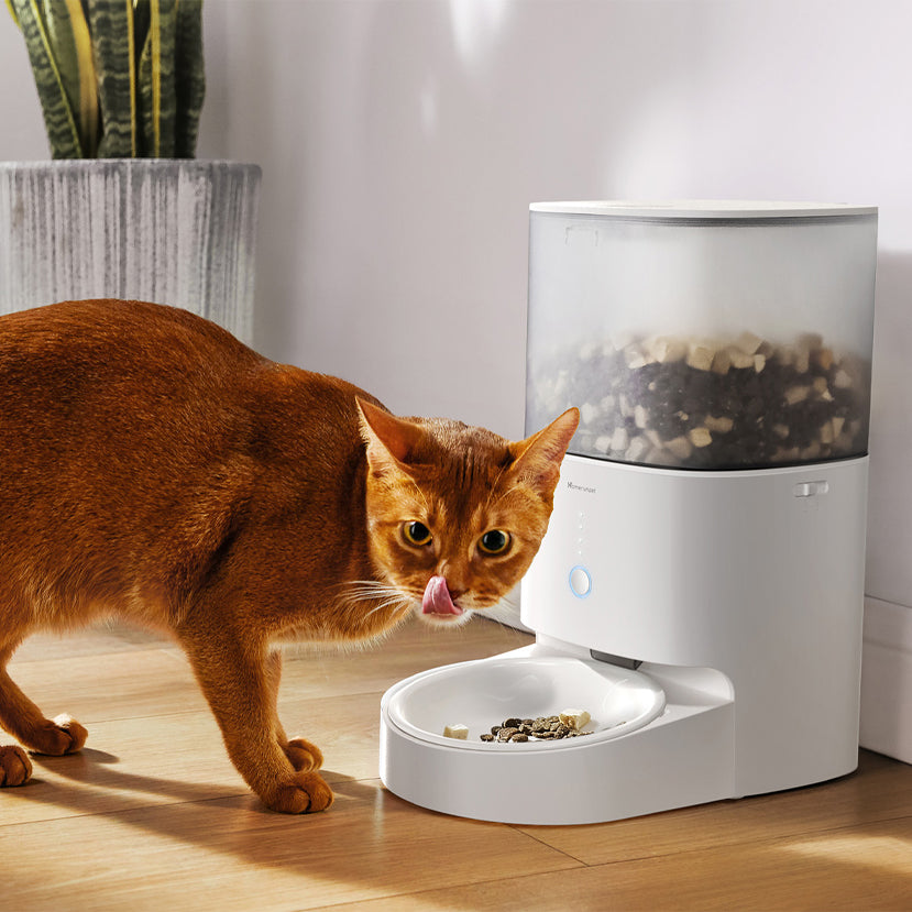 HomeRun 寵物智能遠程餵食器（陶瓷餵食碗/不鏽鋼餵食碗）