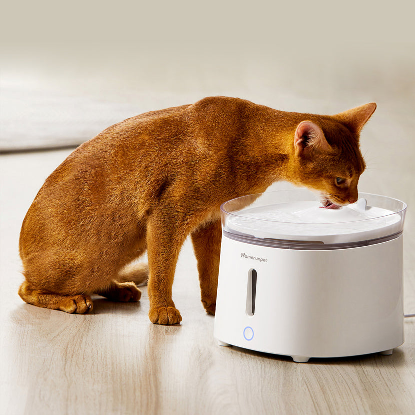 二代無線寵物飲水機